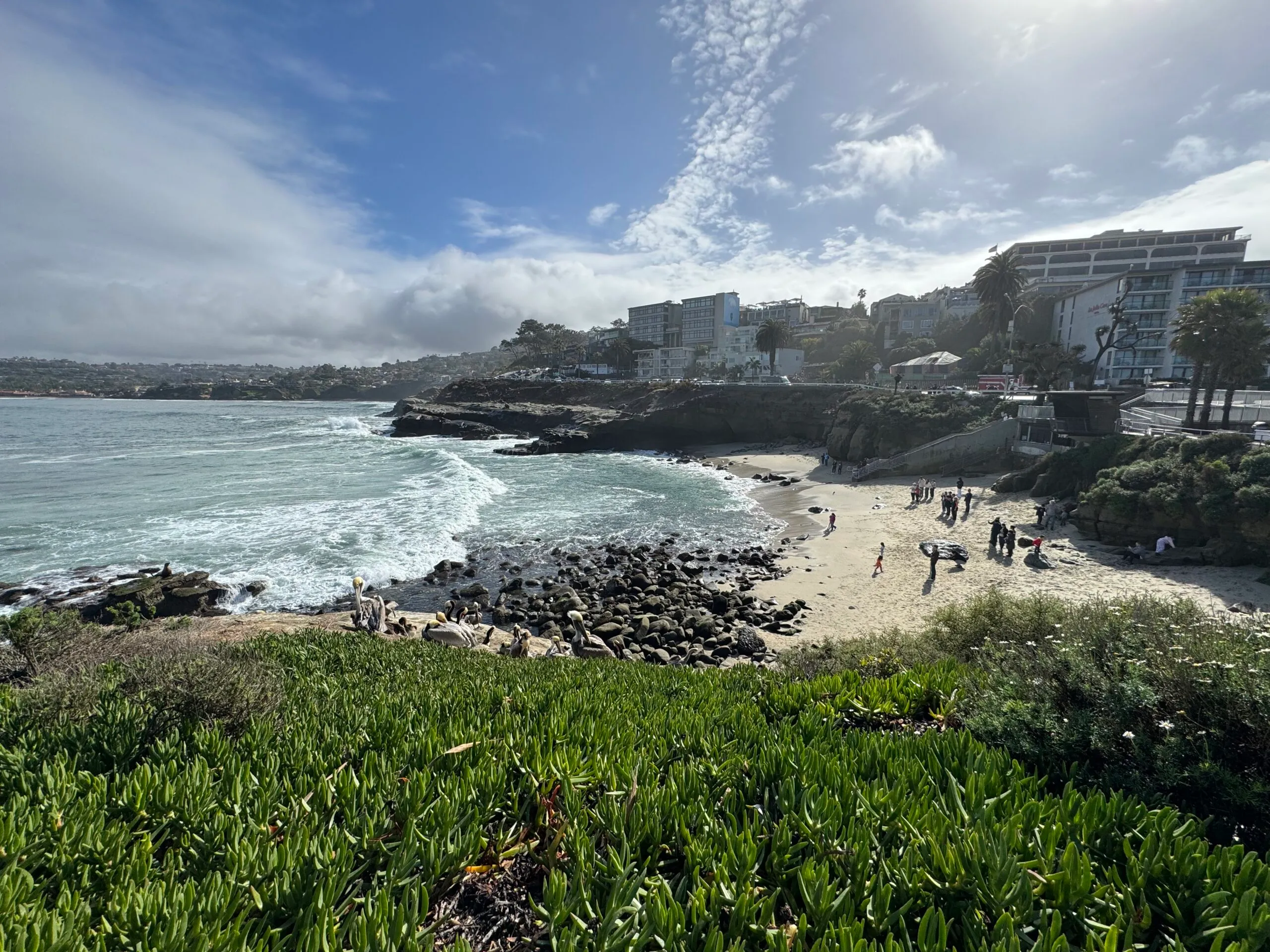 La Jolla Cove Beach