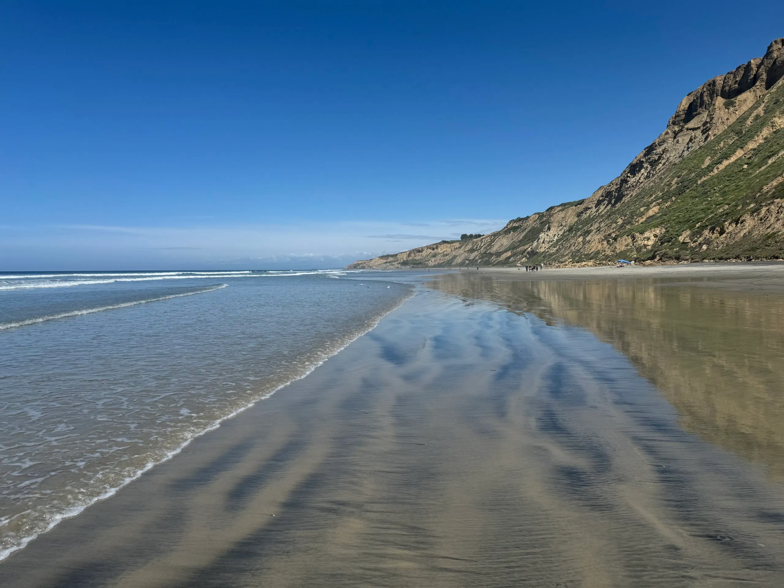 Black's Beach
