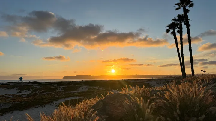 8 Prettiest Beaches in San Diego, California (Local's Guide to Hidden Gems &amp; Scenic Spots)