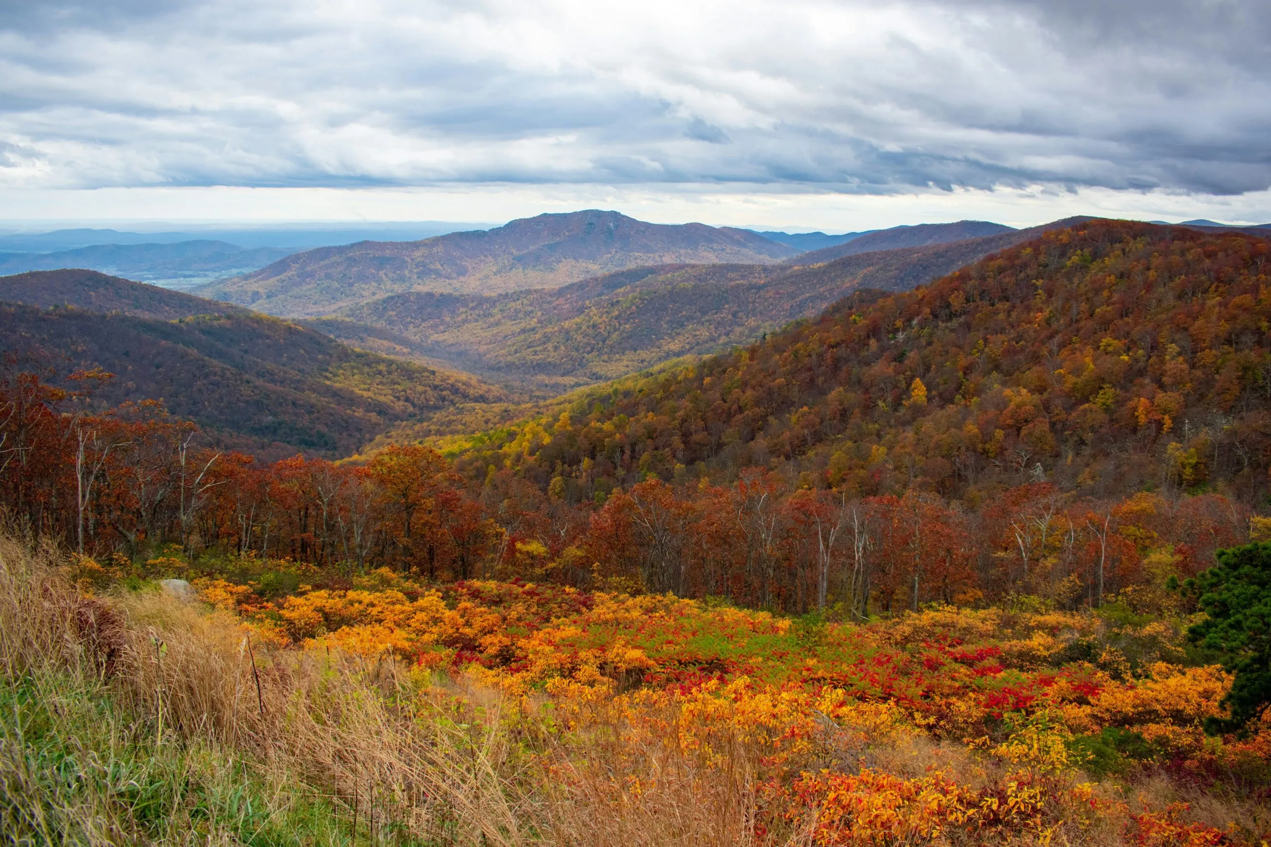 Shenandoah National Park - national parks with timed entry 2026