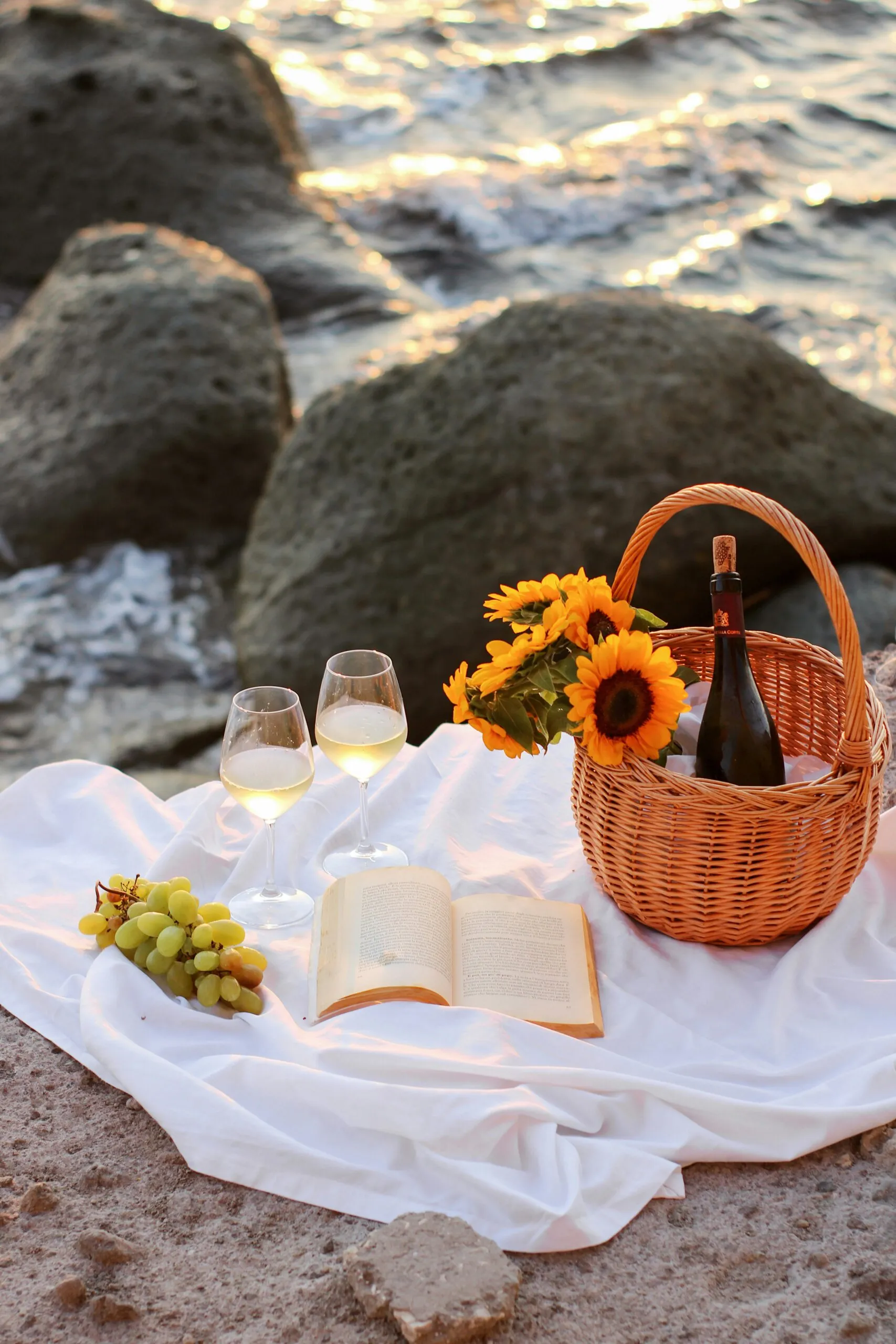 Picnic